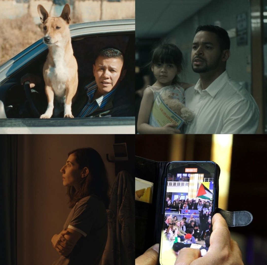 202603 MTM age vigilance